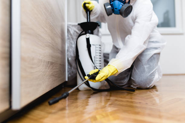  White Plains, NY Pest Control Pros