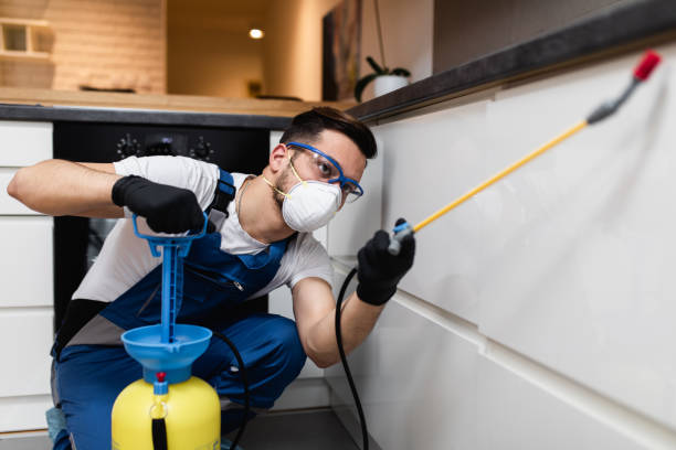 Best Local Pest Control Services  in White Plains, NY