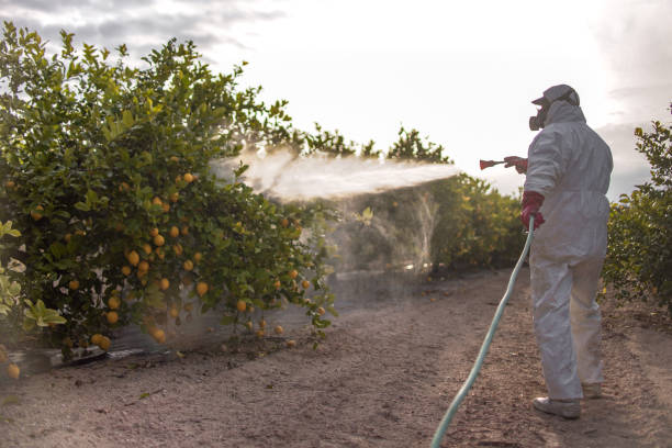 Best Pest Prevention Services  in White Plains, NY