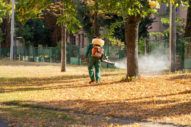 Bird Control in White Plains, NY