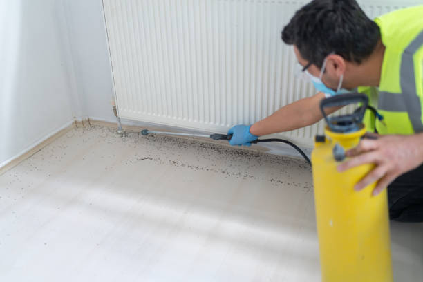 Best Pest Removal Services  in White Plains, NY